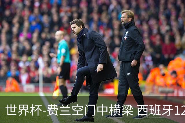 世界杯-费兰空门中横梁 西班牙12射4正半场暂0-0佛得角